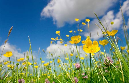 佛理禅机：做一个真正的强者