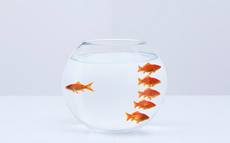 佛理禅机：宽容别人 成全自己