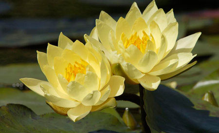 佛理禅机:人生无常,有多少时间可以把握?