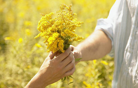 佛理禅机:认识自己的心 放下自我