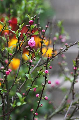 佛理禅机：把时间花在心灵上