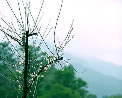 佛理禅机：世间百态 只有亲尝才能知其真味
