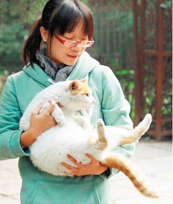 　　大学里的“流浪天使”