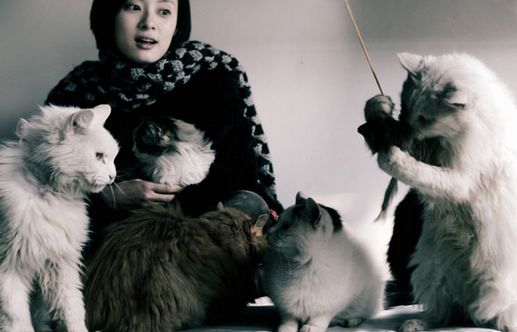 孙俪对动物的爱护