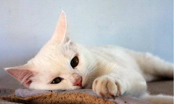 　　我们需要更多的爱