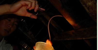 残忍自掏黑熊胆及内脏